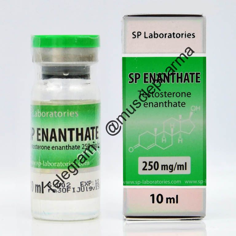 TESTOSTERON ENANTHATE (SP Laboratories). 1 флакон * 10 мл.
