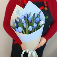 15 синих тюльпанов