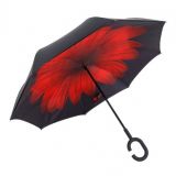 Зонт Наоборот, Цветок