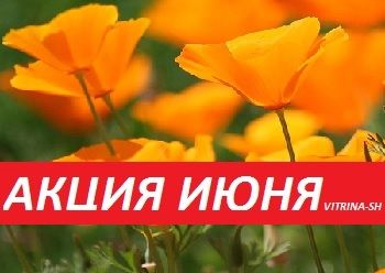АКЦИЯ ИЮНЯ (Количество товаров, участвующих в акции, ограничено.)