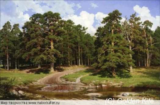 1536. Pine Forest