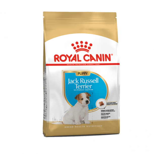 Сухой корм для щенков Royal Canin Jack Russel Terrier Junior породы Джек Рассел 500 гр