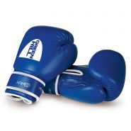 Перчатки боксерские детские Green Hill Hamed 6oz BGHC-2022 синие