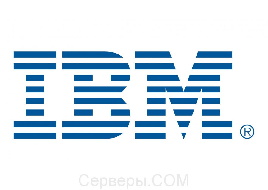 Жесткий диск IBM SAS 2.5 дюйма 49Y2023