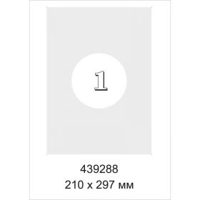 439288 Этикетки самоклеящиеся Promega label для инвентаризации (серебристые, 210x297 мм, 1 штука на листе А4, 20 листов в упаковке)