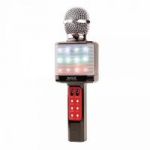 Микрофон WSTER WS-1828
