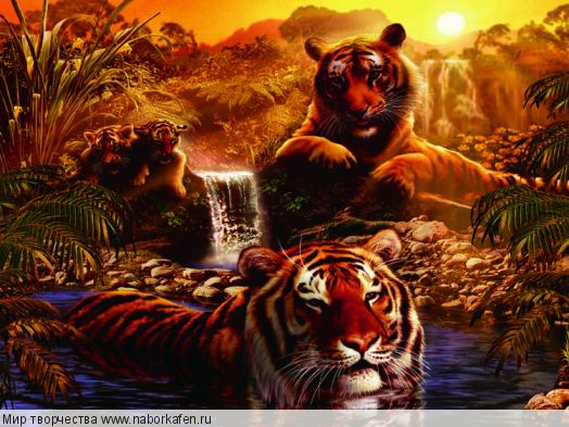 Алмазная вышивка «Тигры купаются у водопада»