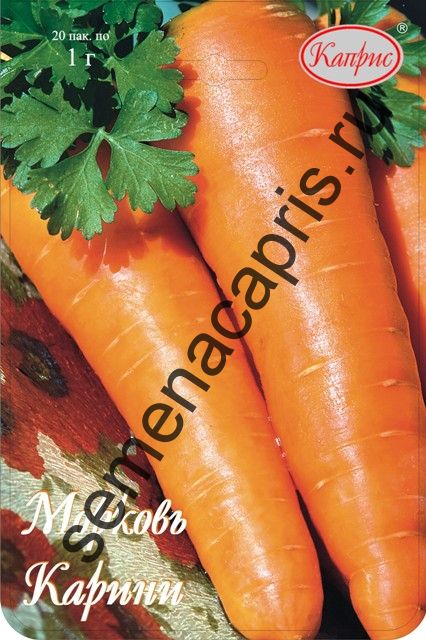 Морковь Карини (Нидерланды)