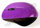Мышь беспроводн. Smartbuy 309AG Purple фиолет- черн (SBM-309AG-P)