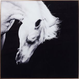 Картина в рамке Proud Horse, коллекция Гордая лошадь, ручная работа