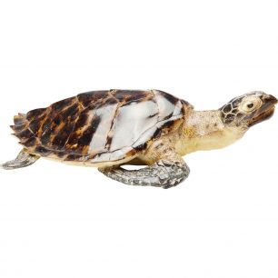 Статуэтка Turtle, коллекция Черепаха