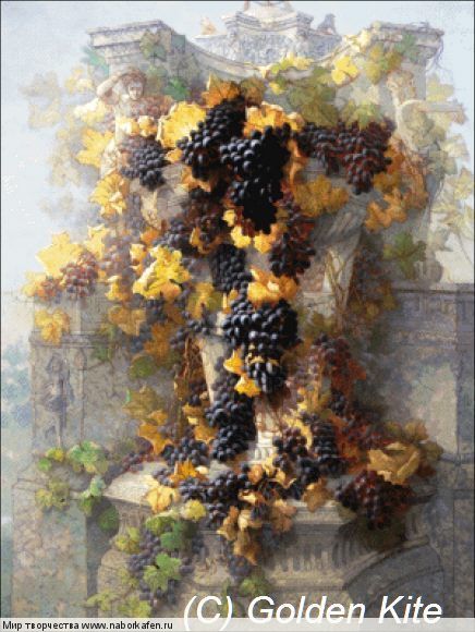 2888 Grapes and Architecture (medium)