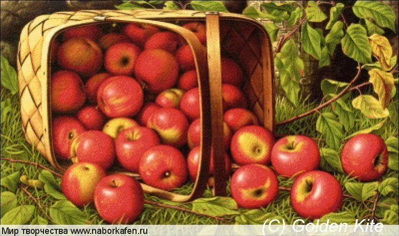2806 Basket of Apples (medium)