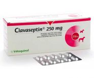 Клавасептин 250 мг, 10 табл