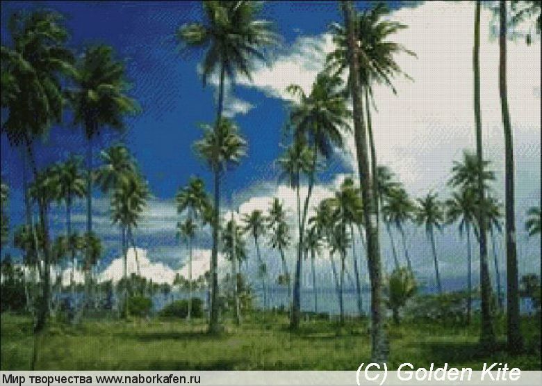 341 Tropical island