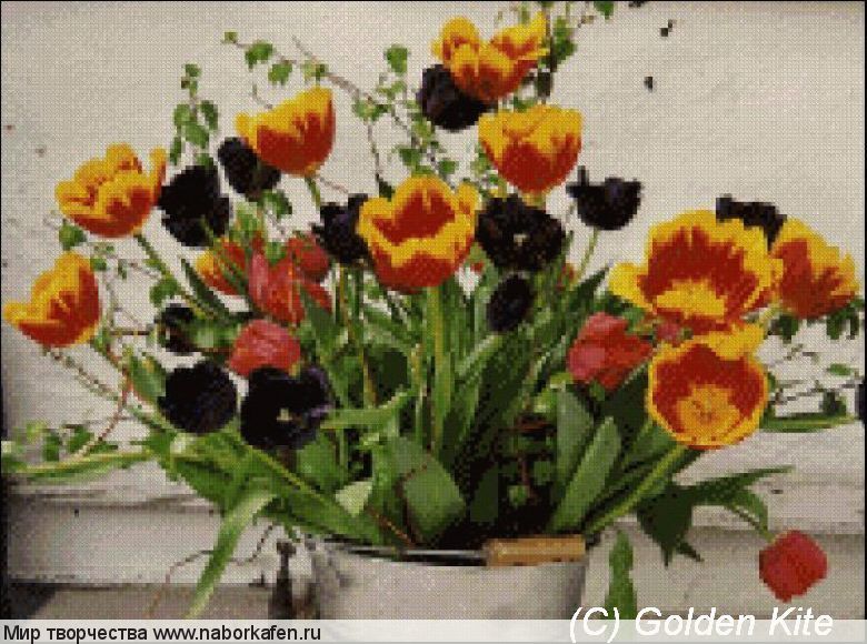 634 Tulips in a Bucket
