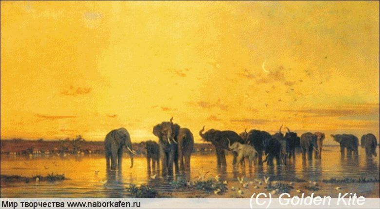 1558 African Elephants (small)