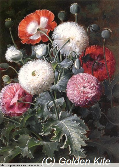 1828 Still Life in Red, Pink and White