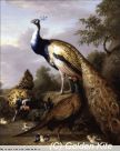 1877 Peacock,Hen and a Landscape