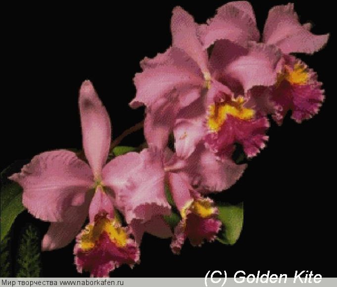 288 Orchid Pink