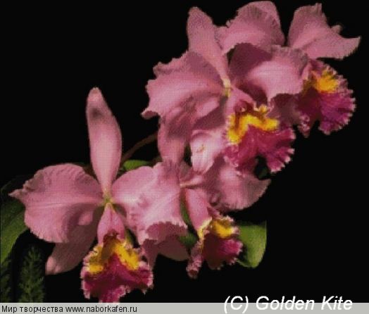 288 Orchid Pink