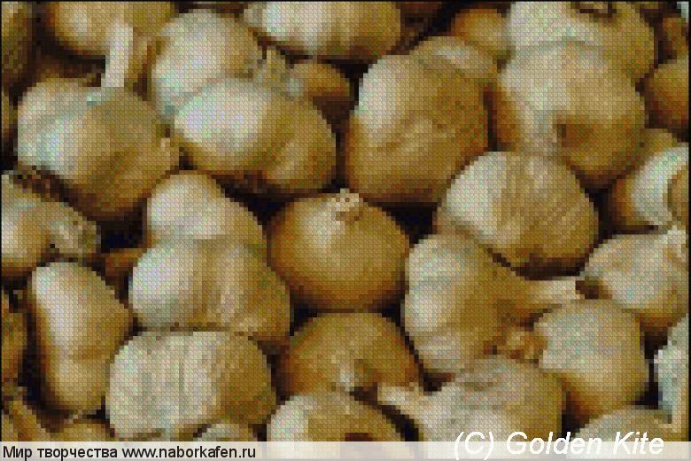 507 Fresh garlic