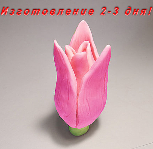 Бутон тюльпана "Изящный" 3D, форма для мыла силиконовая