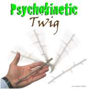 #МАГУ Cesaral Psychokinetic Twig by Cesaral