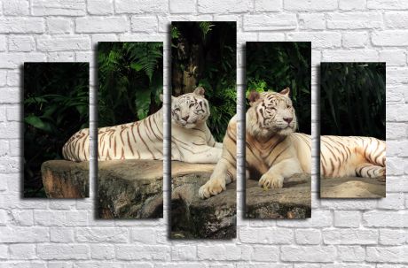 Модульная картина Белые тигры