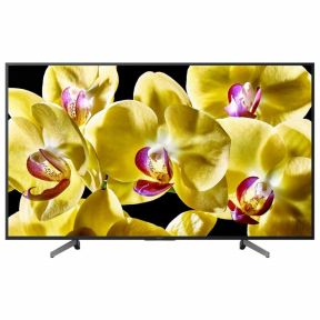 Телевизор Sony KD-55XG8096
