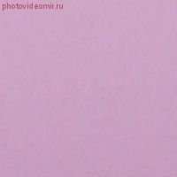 Фон бумажный FST 2,72х11 BABY PINK 1035 розовый