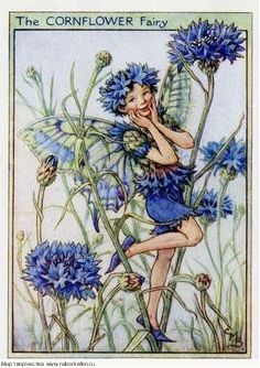 Схема "Flower Fairy Collection" (Cornflower)