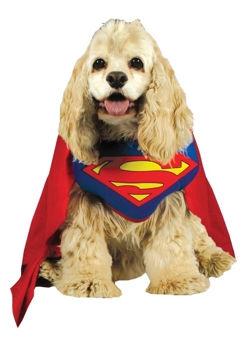 Костюм супермена для собаки