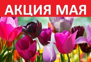 АКЦИЯ МАЯ