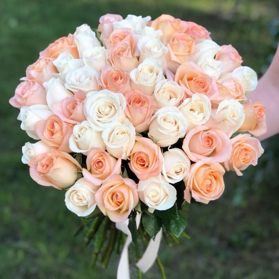 51 роза (Эквадорская) бело-персиковый микс