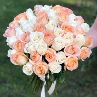 Акция! 51 роза (Эквадорская) бело-персиковый микс