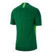 ФУТБОЛКА ИГРОВАЯ NIKE LEGEND AJ0998-302 SR