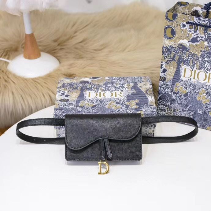 Поясная сумка Dior 18,5 cm