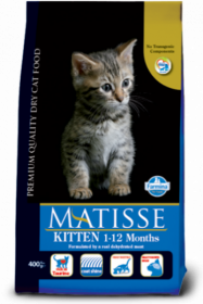 Matisse Kitten (Матис для котят)