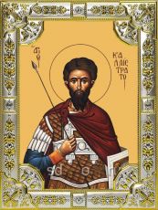 Икона Каллистрат мученик (18х24)