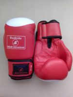 Боксерские перчатки BUSHIDO, красные 12 унц. WBG-226