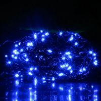 Светодиодная гирлянда LED, цвет свечения синий