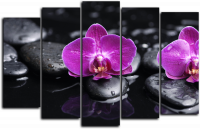Модульная картина Орхидея на камнях