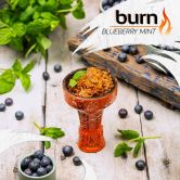 Burn 100 гр - Blueberry Mint (Черника с Мятой)