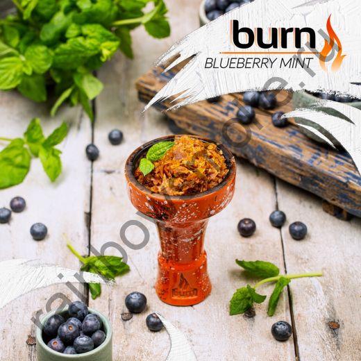 Burn 100 гр - Blueberry Mint (Черника с Мятой)