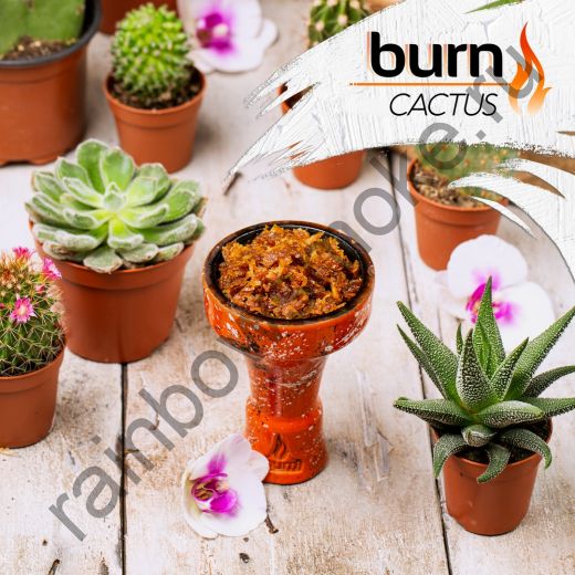 Burn 100 гр - Cactus (Кактус)