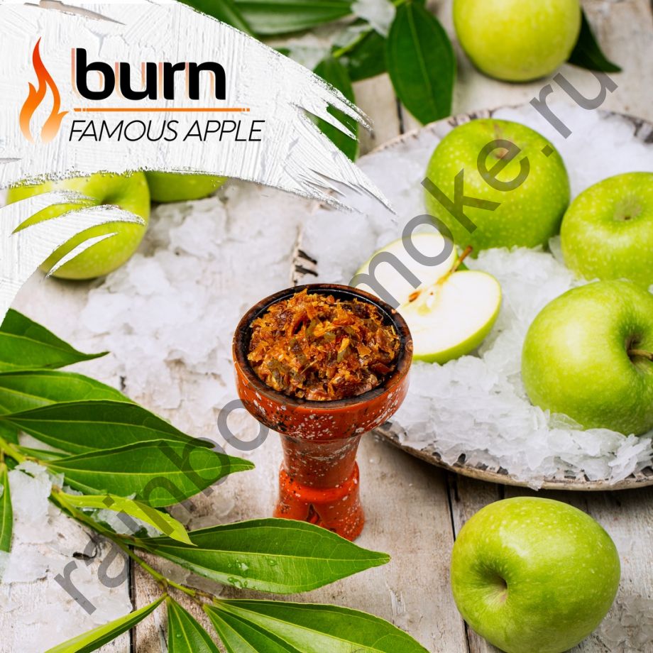 Burn 100 гр - Famous Apple (Знаменитое Яблоко)