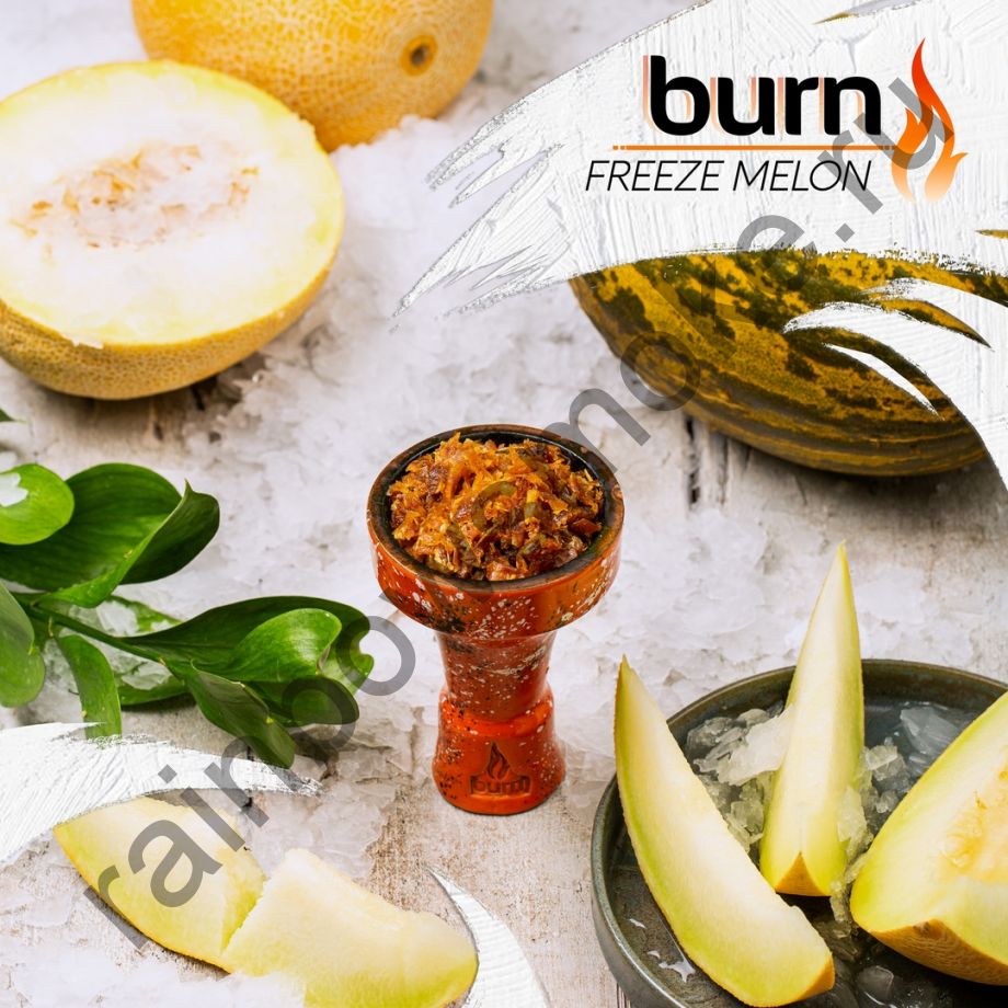 Burn 100 гр - Freeze Melon (Морозная Дыня)