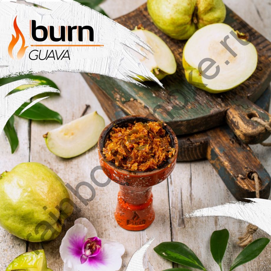 Burn 100 гр - Guava (Гуава)