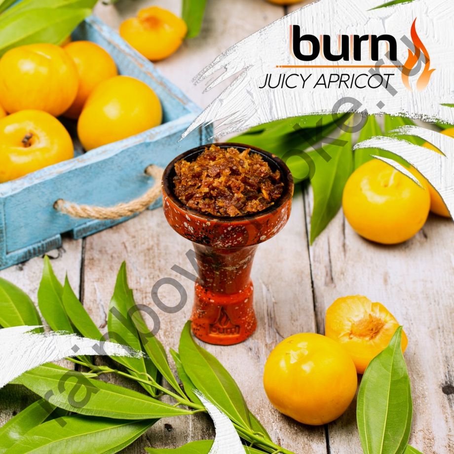 Burn 100 гр - Juicy Apricot (Сочный абрикос)
